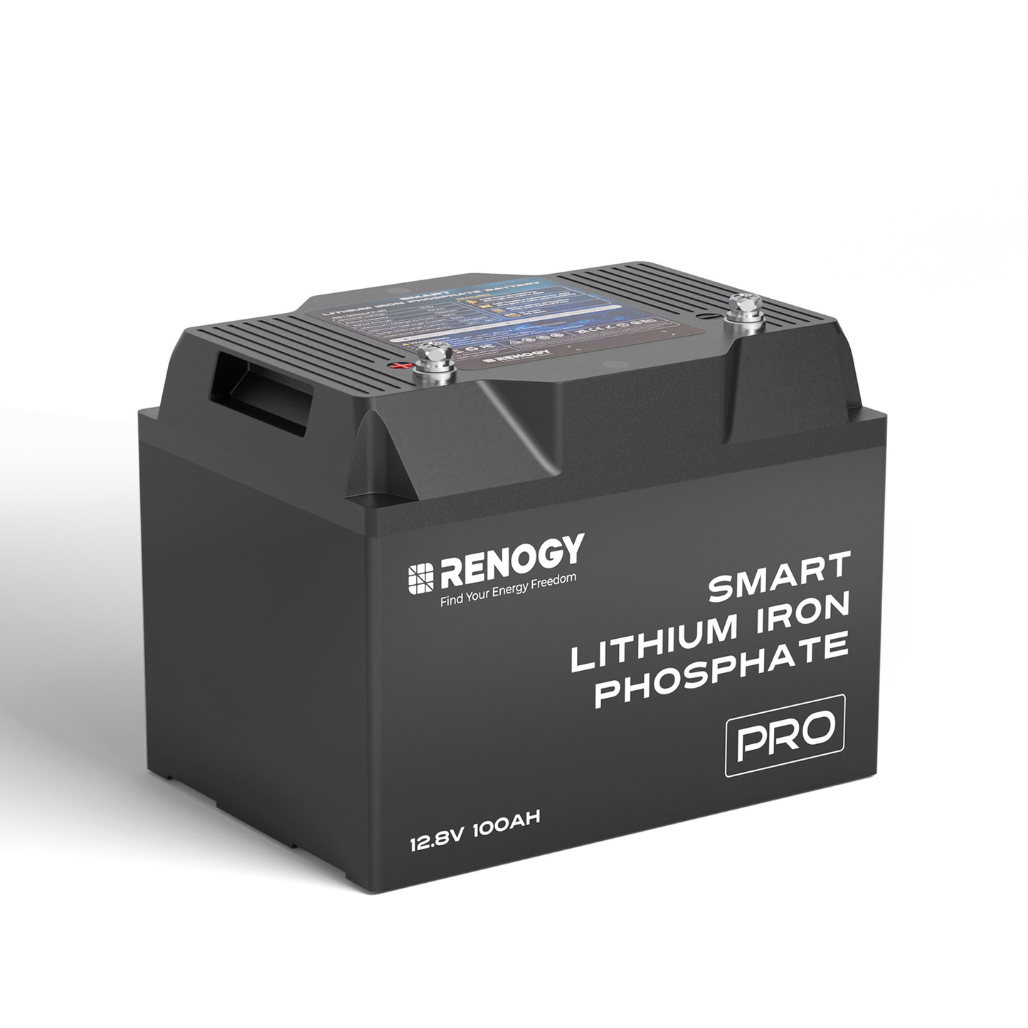 RENOGY PRO 12V 100A Smart Lithium Iron Phosphate Battery w/Self-Heating + Bluetooth