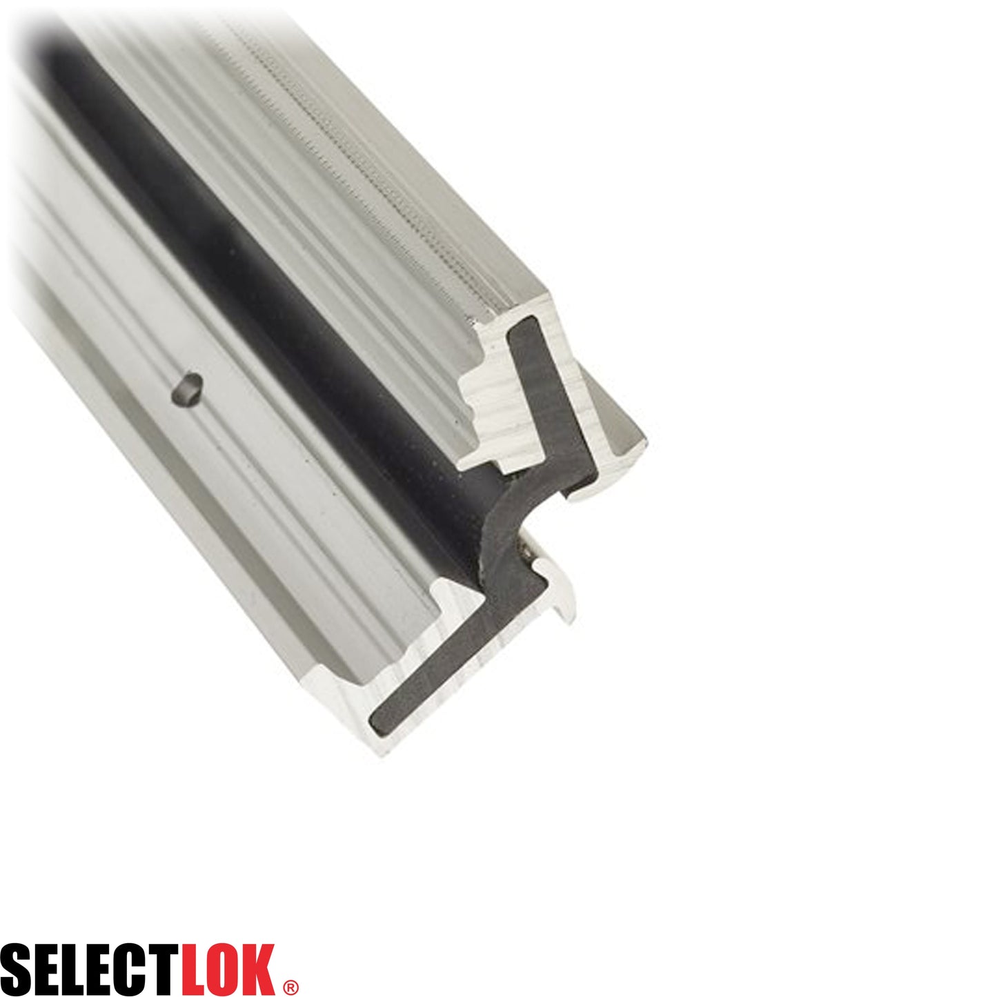 Tila Centerflex Hinge - Selectlok