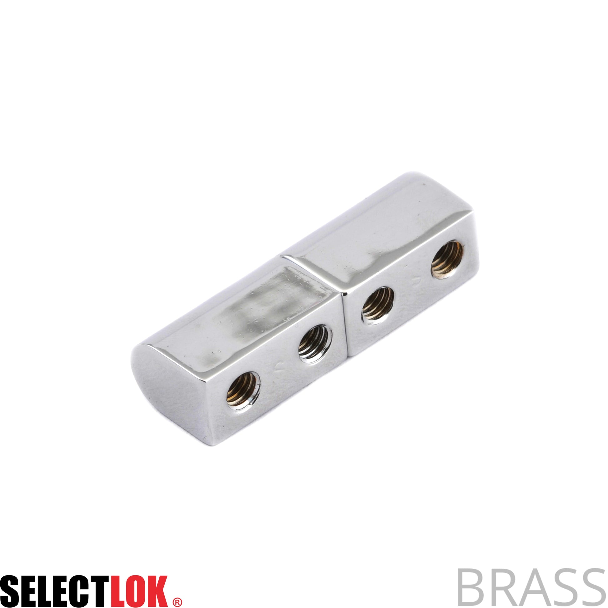 50mm Pintle Hinge - Selectlok
