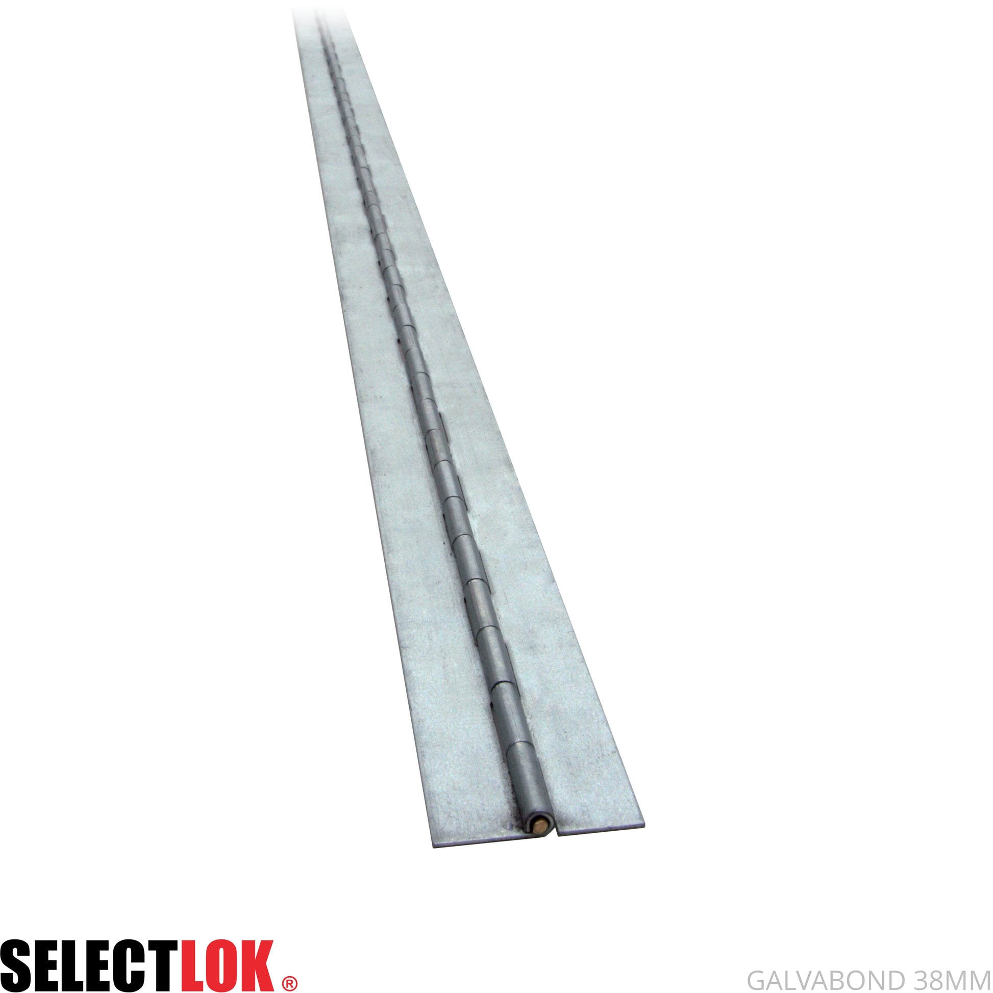 Piano Hinge (3.18mm Pin) - Selectlok
